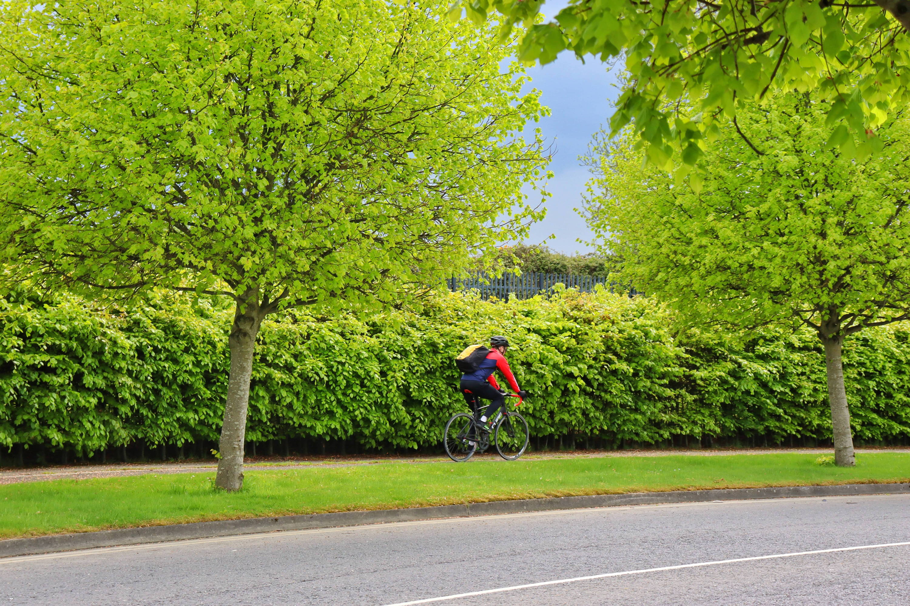 the-cycle-to-work-scheme-electric-paddy